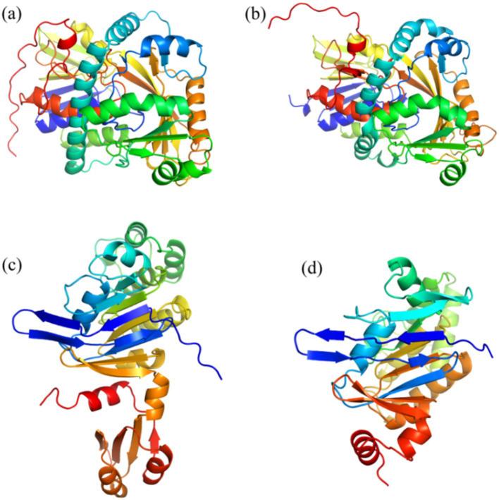 https://cdn.ncbi.nlm.nih.gov/pmc/blobs/5a98/11538021/fc00f633de73/fmicb-15-1479902-g003.jpg