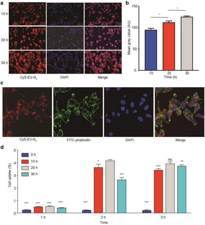 https://cdn.ncbi.nlm.nih.gov/pmc/blobs/5a9a/8141172/2ebb7356cab7/12951_2021_888_Fig2_HTML.jpg