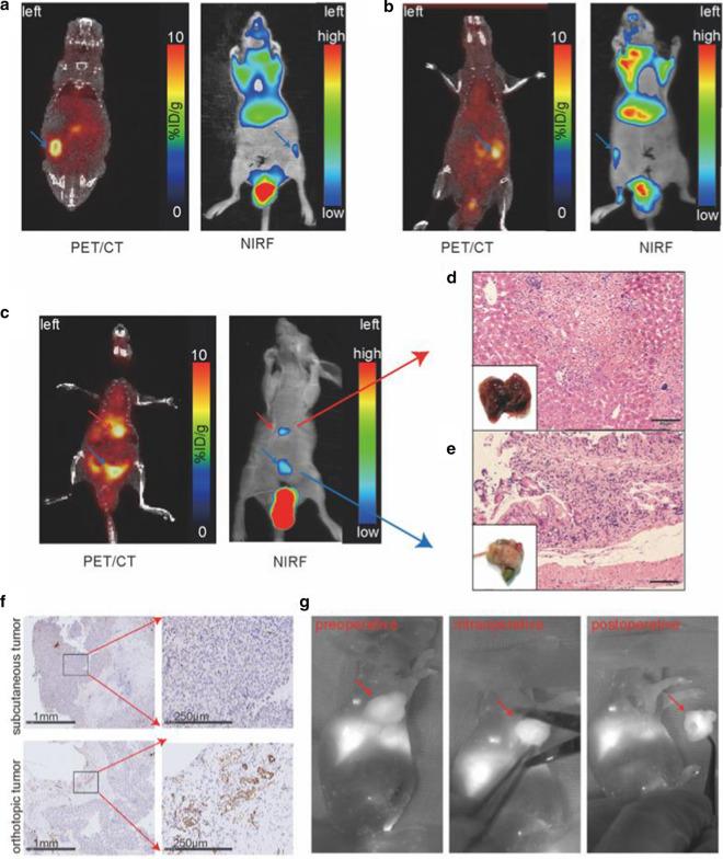 https://cdn.ncbi.nlm.nih.gov/pmc/blobs/5a9a/8141172/930b2178d58f/12951_2021_888_Fig6_HTML.jpg