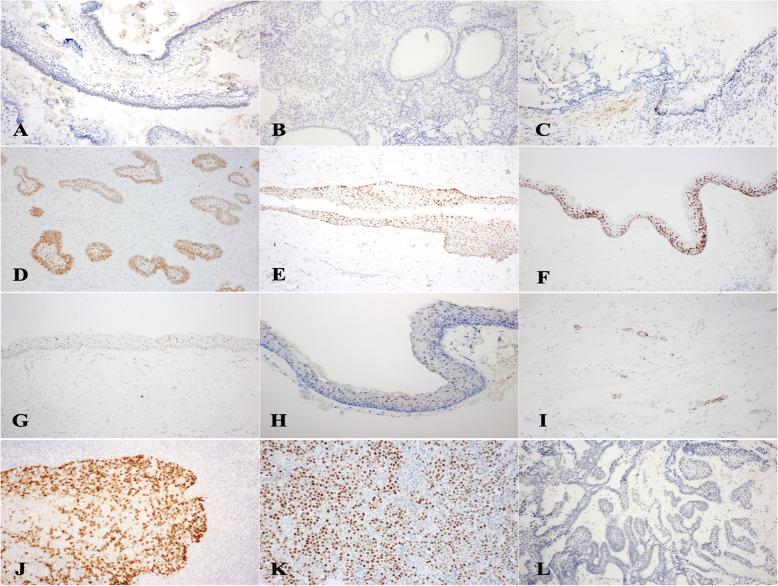 https://cdn.ncbi.nlm.nih.gov/pmc/blobs/5a9b/8278639/bf183aedde48/13005_2021_283_Fig1_HTML.jpg