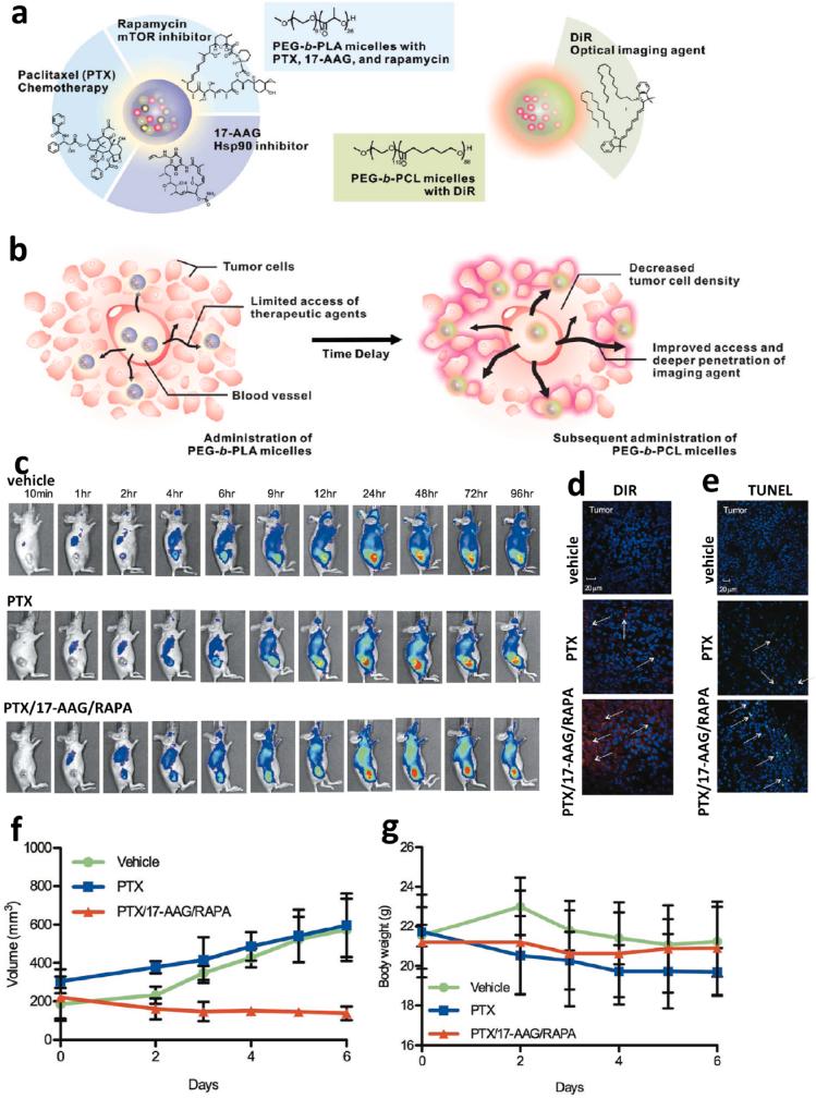 https://cdn.ncbi.nlm.nih.gov/pmc/blobs/5a9b/9792706/c92ccc90b02e/gr2.jpg
