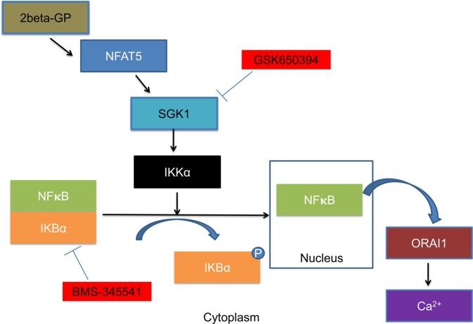 https://cdn.ncbi.nlm.nih.gov/pmc/blobs/5a9c/6997179/083d3a12c654/41598_2020_58384_Fig6_HTML.jpg