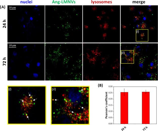 https://cdn.ncbi.nlm.nih.gov/pmc/blobs/5a9c/7347249/5d275a2c41bf/am0c05556_0010.jpg