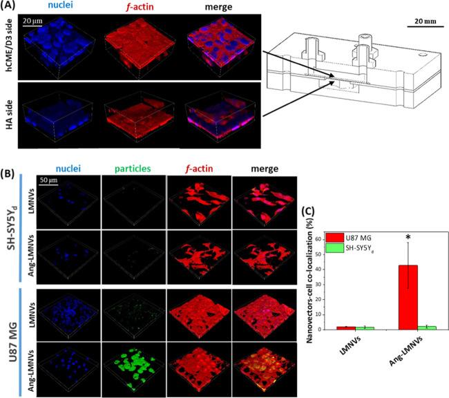 https://cdn.ncbi.nlm.nih.gov/pmc/blobs/5a9c/7347249/be5b8cec1421/am0c05556_0008.jpg