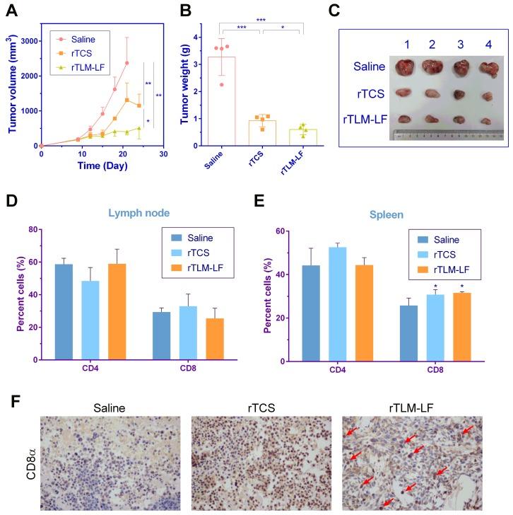 https://cdn.ncbi.nlm.nih.gov/pmc/blobs/5a9d/5596438/4834d345c83a/thnov07p3489g008.jpg