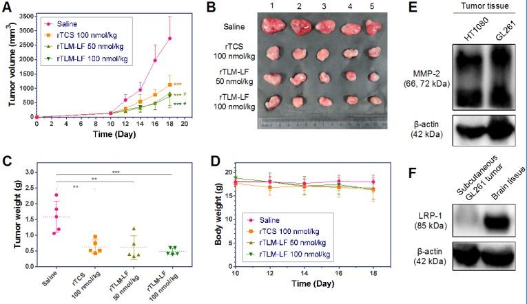https://cdn.ncbi.nlm.nih.gov/pmc/blobs/5a9d/5596438/54bb0966f04f/thnov07p3489g007.jpg