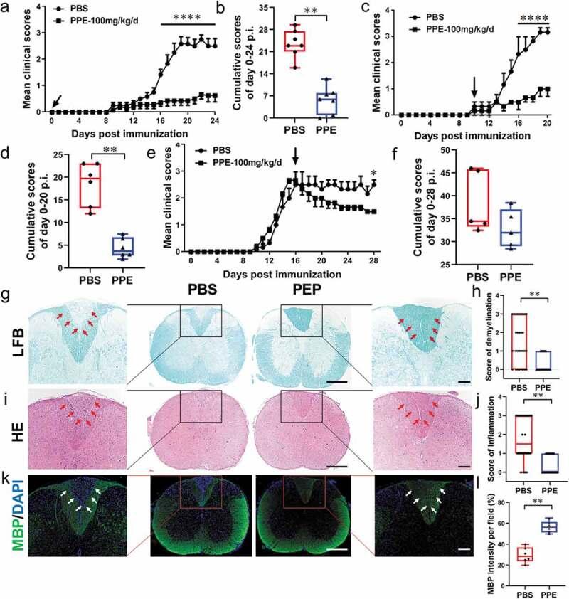 https://cdn.ncbi.nlm.nih.gov/pmc/blobs/5a9e/7751635/6ba70c243411/KGMI_A_1857515_F0001_OC.jpg