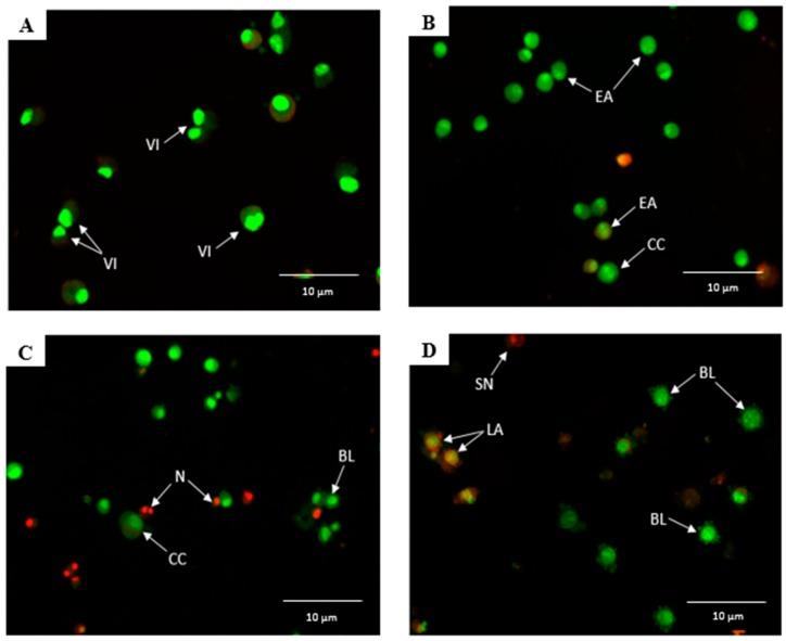 https://cdn.ncbi.nlm.nih.gov/pmc/blobs/5a9f/6321584/4097699933b0/molecules-23-03092-g003.jpg