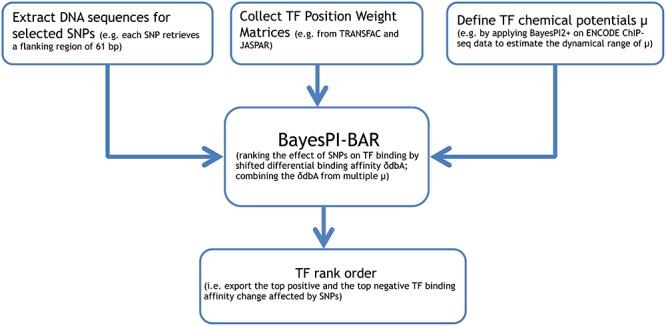 https://cdn.ncbi.nlm.nih.gov/pmc/blobs/5aa0/4666384/a70baeb98728/gkv733fig1.jpg
