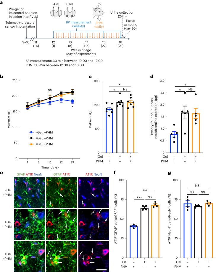 https://cdn.ncbi.nlm.nih.gov/pmc/blobs/5aa1/10651490/1512686fee12/41551_2023_1061_Fig6_HTML.jpg