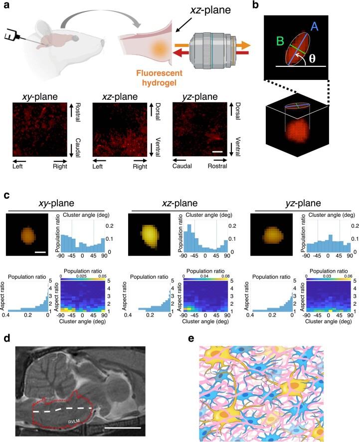 https://cdn.ncbi.nlm.nih.gov/pmc/blobs/5aa1/10651490/4e4e1fba3d51/41551_2023_1061_Fig14_ESM.jpg