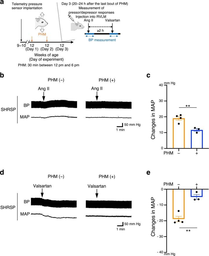 https://cdn.ncbi.nlm.nih.gov/pmc/blobs/5aa1/10651490/a89b86da6762/41551_2023_1061_Fig17_ESM.jpg