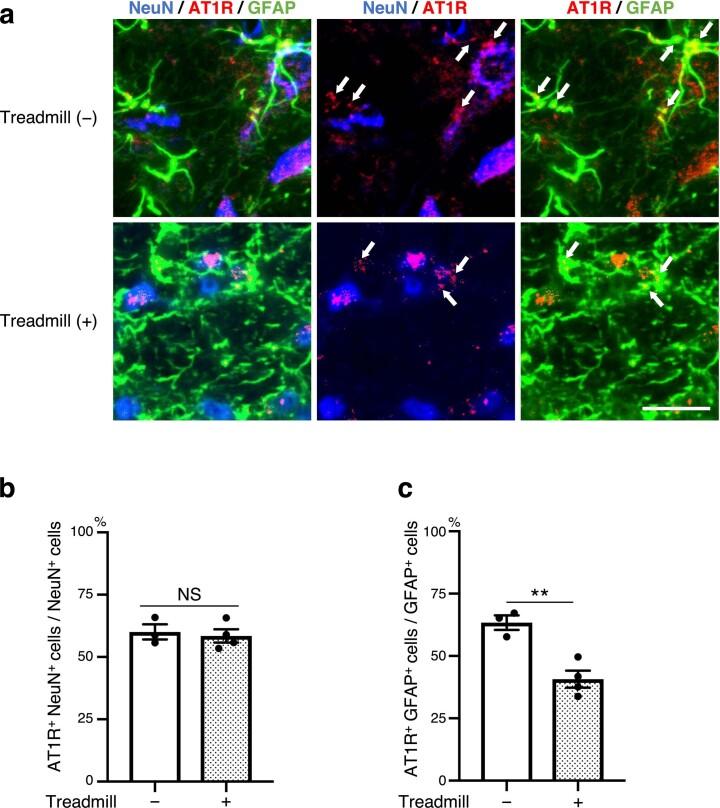 https://cdn.ncbi.nlm.nih.gov/pmc/blobs/5aa1/10651490/bb45d0c03b2b/41551_2023_1061_Fig12_ESM.jpg