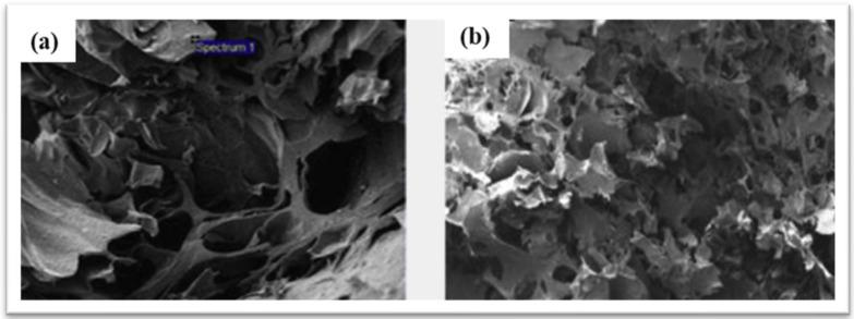 https://cdn.ncbi.nlm.nih.gov/pmc/blobs/5aa1/11356673/71601137257c/materials-17-04117-g011.jpg
