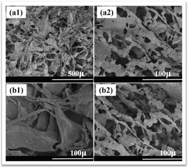 https://cdn.ncbi.nlm.nih.gov/pmc/blobs/5aa1/11356673/969e93765372/materials-17-04117-g010.jpg