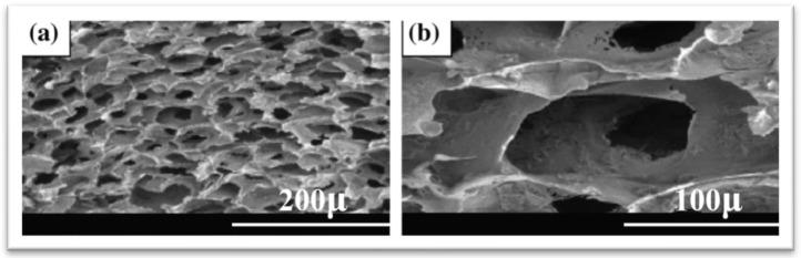 https://cdn.ncbi.nlm.nih.gov/pmc/blobs/5aa1/11356673/b91e459e2748/materials-17-04117-g012.jpg