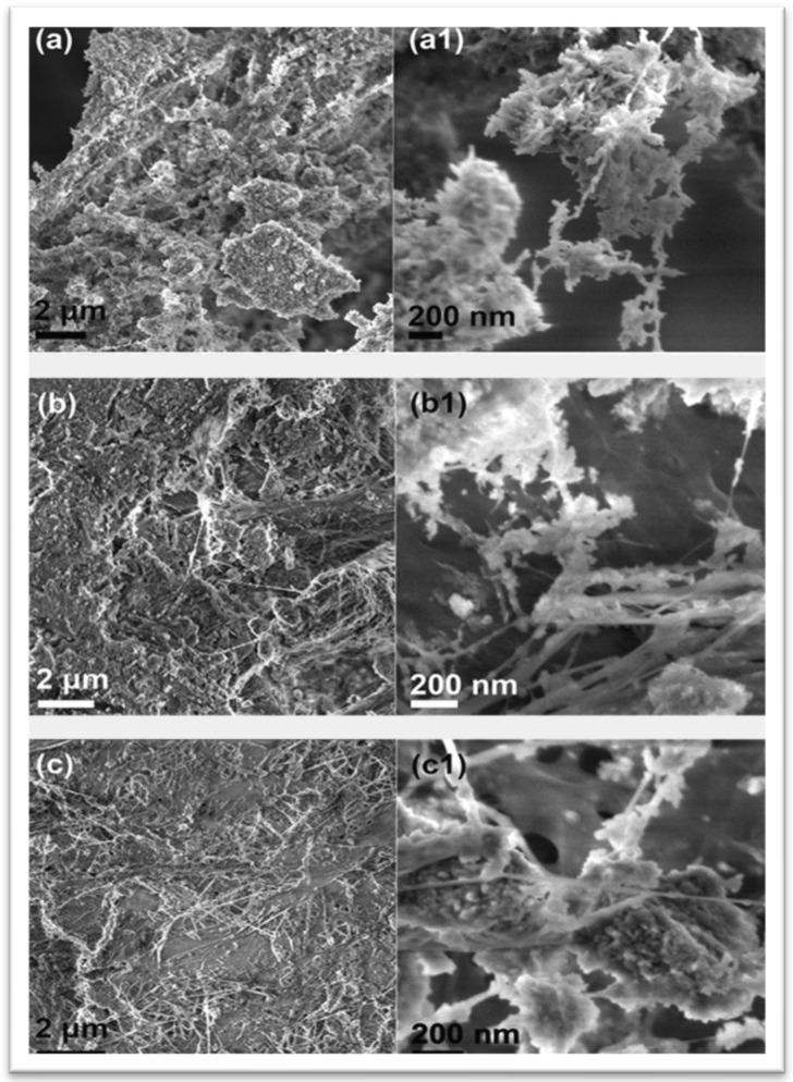 https://cdn.ncbi.nlm.nih.gov/pmc/blobs/5aa1/11356673/d05b1ffeb3d0/materials-17-04117-g013.jpg