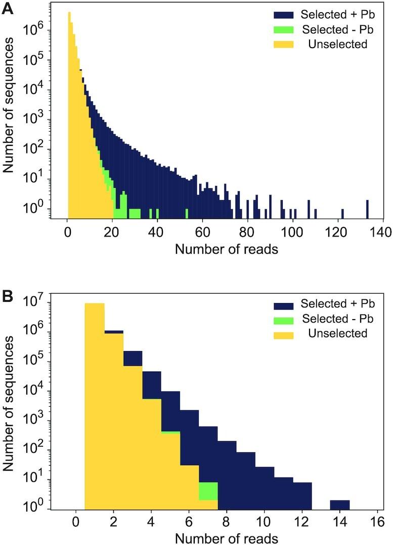 https://cdn.ncbi.nlm.nih.gov/pmc/blobs/5aa1/8266665/d1adf666ae95/gkab504fig4.jpg