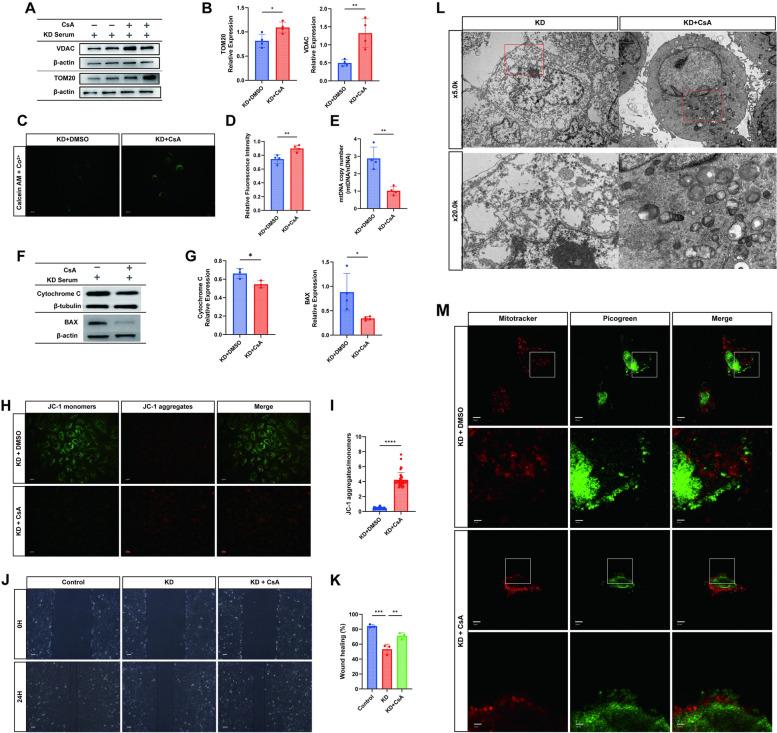 https://cdn.ncbi.nlm.nih.gov/pmc/blobs/5aa2/11177463/0d0cfd51c623/12964_2024_1677_Fig8_HTML.jpg