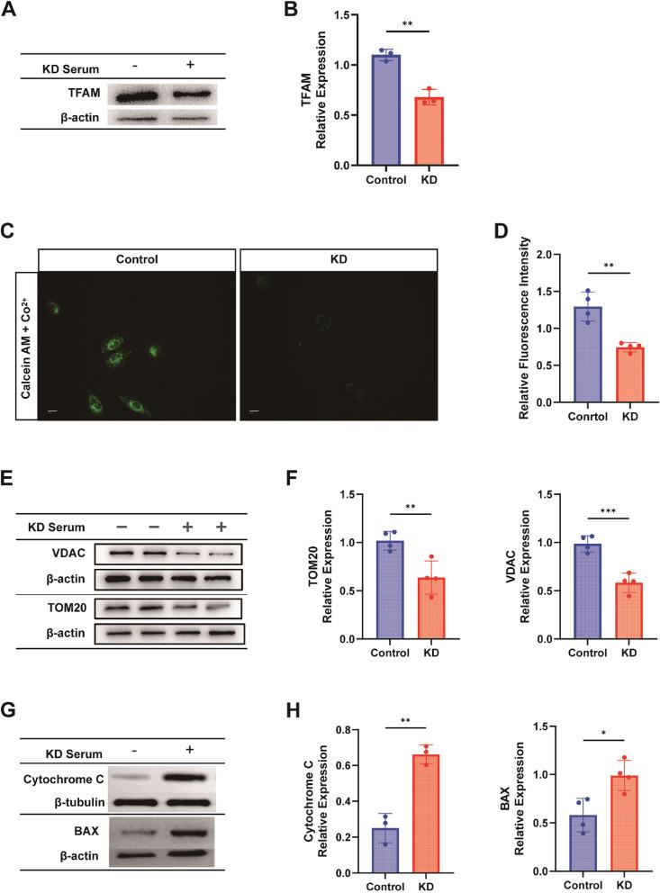 https://cdn.ncbi.nlm.nih.gov/pmc/blobs/5aa2/11177463/56ad7089b21b/12964_2024_1677_Fig7_HTML.jpg
