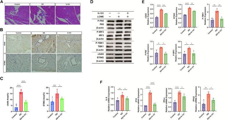 https://cdn.ncbi.nlm.nih.gov/pmc/blobs/5aa2/11177463/711bb9bf504e/12964_2024_1677_Fig3_HTML.jpg