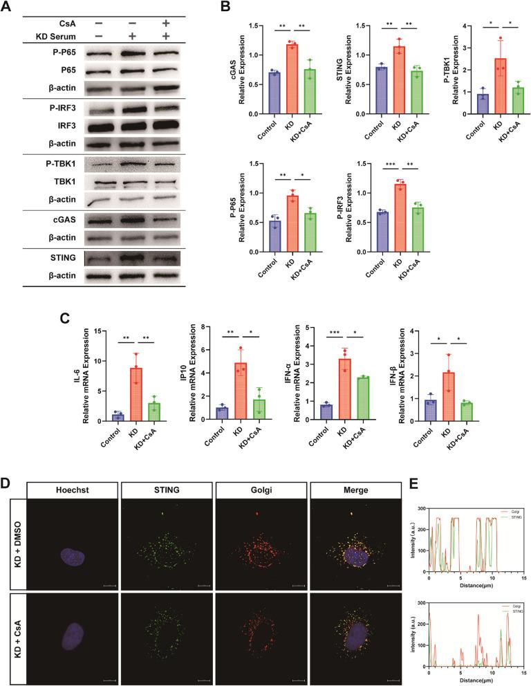 https://cdn.ncbi.nlm.nih.gov/pmc/blobs/5aa2/11177463/b0692f9362bf/12964_2024_1677_Fig9_HTML.jpg