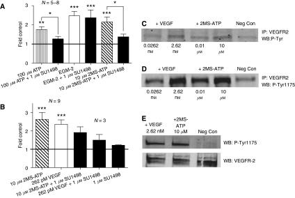 https://cdn.ncbi.nlm.nih.gov/pmc/blobs/5aa3/2694426/2d1951ba3ae6/6604998f1.jpg