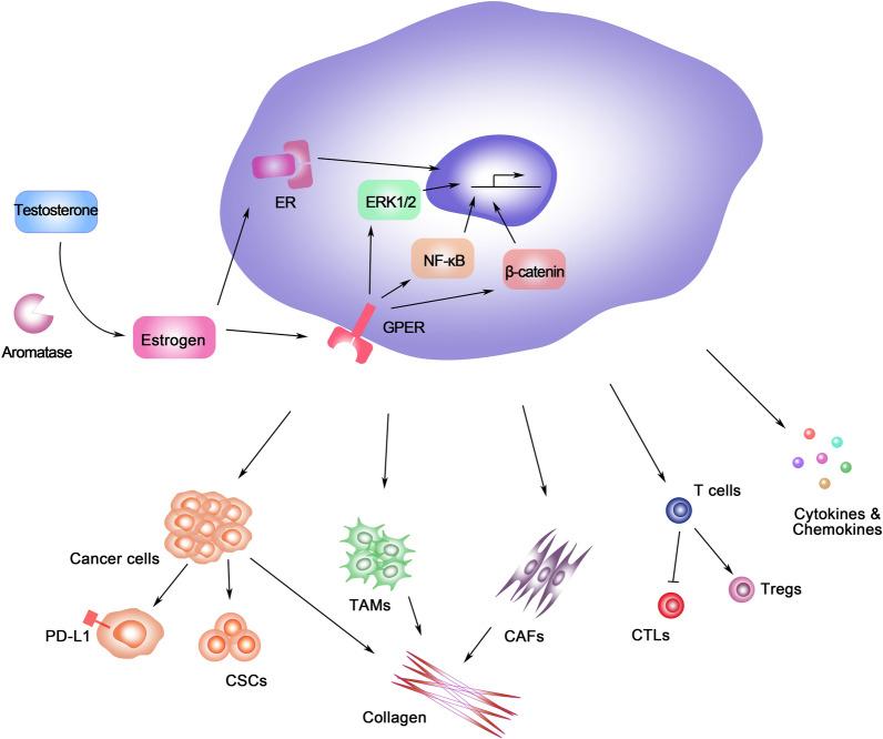 https://cdn.ncbi.nlm.nih.gov/pmc/blobs/5aa7/8182917/5b84ec151493/12935_2021_2003_Fig2_HTML.jpg