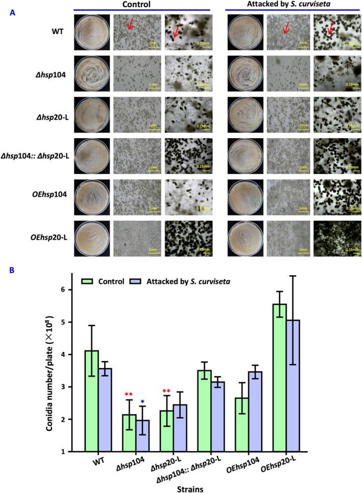 https://cdn.ncbi.nlm.nih.gov/pmc/blobs/5aa8/12229741/da84caa7fdc8/EMI4-17-e70147-g005.jpg