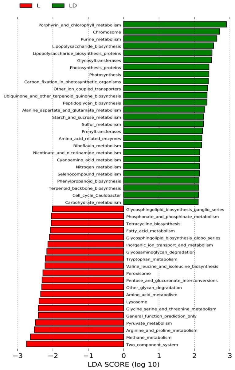https://cdn.ncbi.nlm.nih.gov/pmc/blobs/5aa8/6562920/1d576ea97f74/genes-10-00382-g005.jpg
