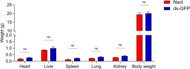 https://cdn.ncbi.nlm.nih.gov/pmc/blobs/5aa9/11863600/7c601fca645c/parasite-32-16-fig1.jpg