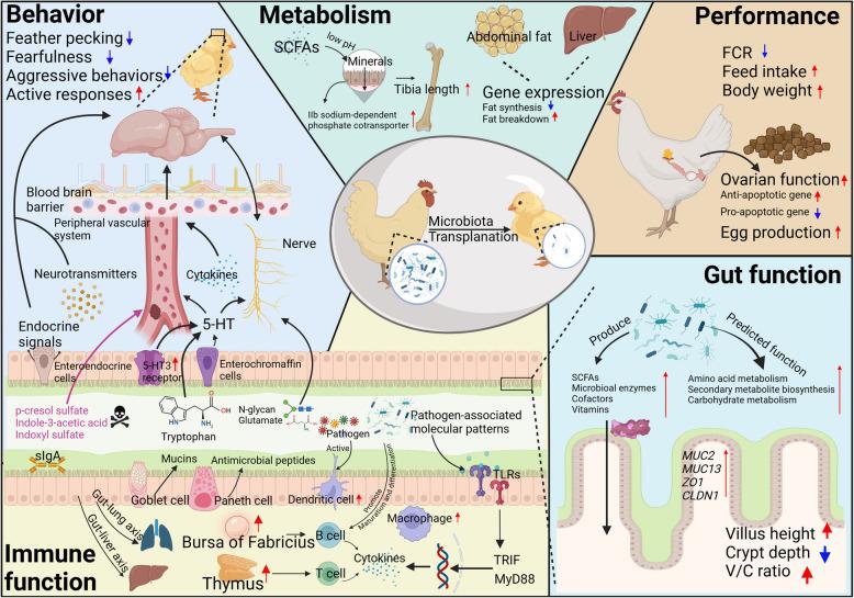 https://cdn.ncbi.nlm.nih.gov/pmc/blobs/5aa9/12203725/b9207467493d/40104_2025_1233_Fig2_HTML.jpg