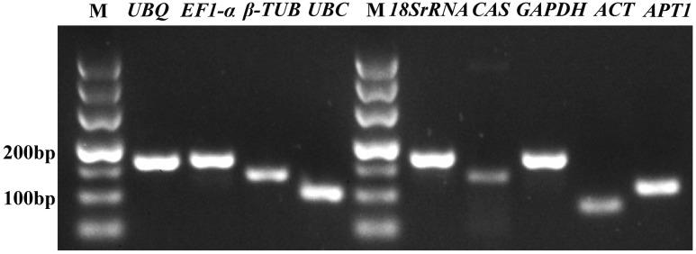 https://cdn.ncbi.nlm.nih.gov/pmc/blobs/5aaa/5432617/3c4eacd182f2/fpls-08-00776-g001.jpg