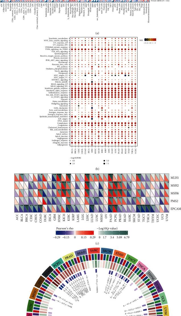 https://cdn.ncbi.nlm.nih.gov/pmc/blobs/5aac/10881253/74262f63850f/MI2024-3188216.009.jpg