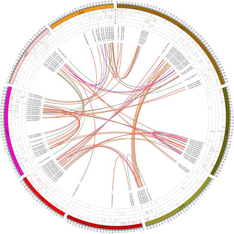 https://cdn.ncbi.nlm.nih.gov/pmc/blobs/5aac/6873611/4c7374d7622e/12864_2019_6258_Fig1_HTML.jpg