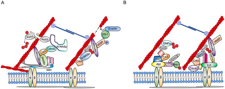 https://cdn.ncbi.nlm.nih.gov/pmc/blobs/5aad/11721269/820c11ab82d6/gr5.jpg