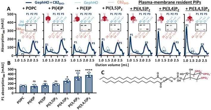 https://cdn.ncbi.nlm.nih.gov/pmc/blobs/5aad/12334862/085822e39ff9/JNC-169-0-g004.jpg