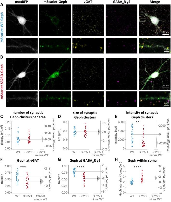 https://cdn.ncbi.nlm.nih.gov/pmc/blobs/5aad/12334862/8af398cf1292/JNC-169-0-g001.jpg