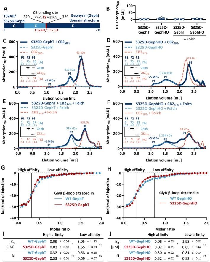 https://cdn.ncbi.nlm.nih.gov/pmc/blobs/5aad/12334862/99f46b0dc75a/JNC-169-0-g003.jpg