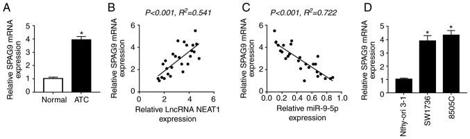 https://cdn.ncbi.nlm.nih.gov/pmc/blobs/5aae/6776185/d179580b303d/IJO-55-05-0988-g10.jpg