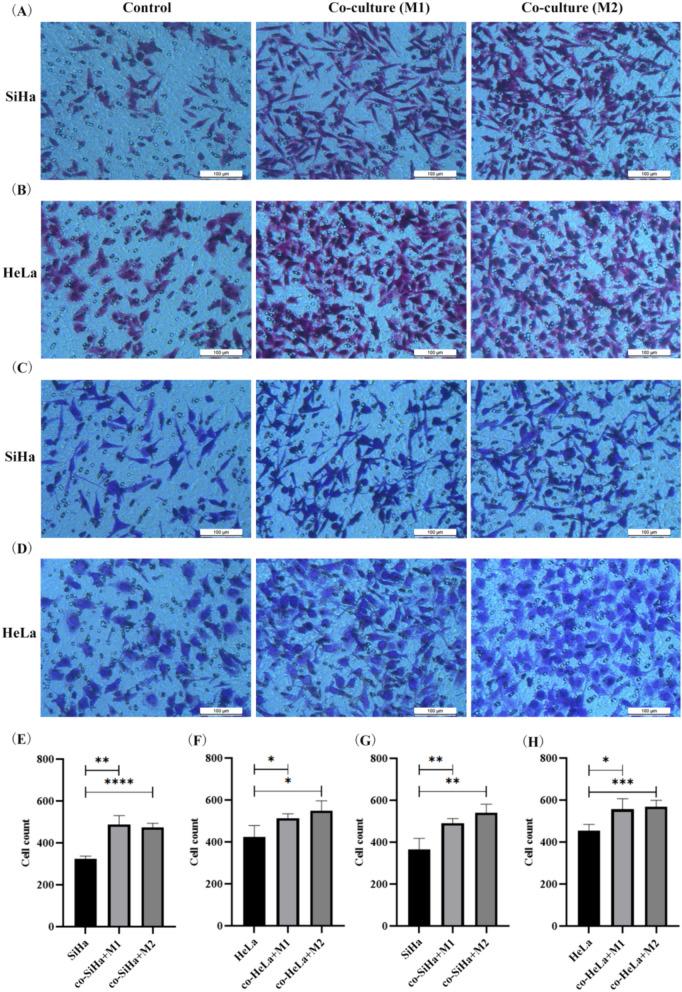 https://cdn.ncbi.nlm.nih.gov/pmc/blobs/5ab2/11225336/1173f98c55a9/40001_2024_1897_Fig7_HTML.jpg