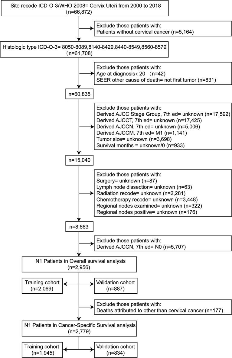 https://cdn.ncbi.nlm.nih.gov/pmc/blobs/5ab2/8968041/022a37a0f185/fonc-12-857375-g001.jpg