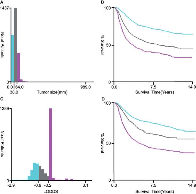 https://cdn.ncbi.nlm.nih.gov/pmc/blobs/5ab2/8968041/98991c663cff/fonc-12-857375-g002.jpg