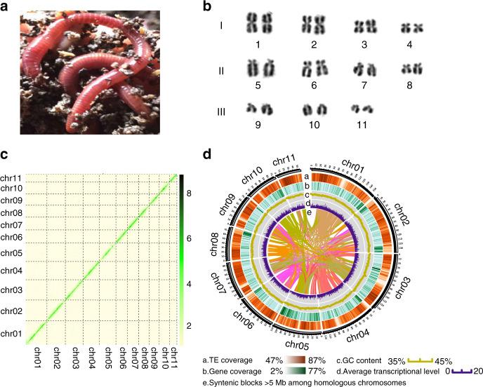 https://cdn.ncbi.nlm.nih.gov/pmc/blobs/5ab5/7253469/17f22b5830ee/41467_2020_16454_Fig1_HTML.jpg