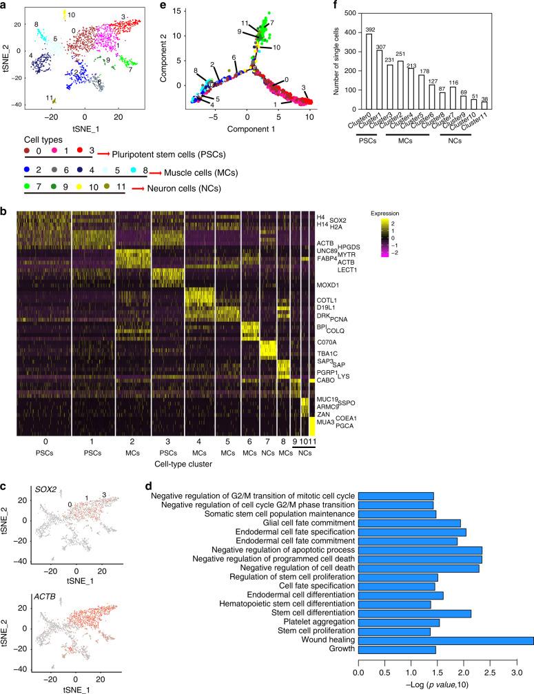 https://cdn.ncbi.nlm.nih.gov/pmc/blobs/5ab5/7253469/1b0a5c6239db/41467_2020_16454_Fig6_HTML.jpg