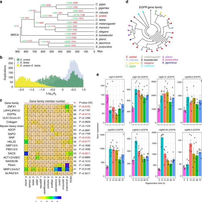 https://cdn.ncbi.nlm.nih.gov/pmc/blobs/5ab5/7253469/5be79c4f7bf3/41467_2020_16454_Fig4_HTML.jpg