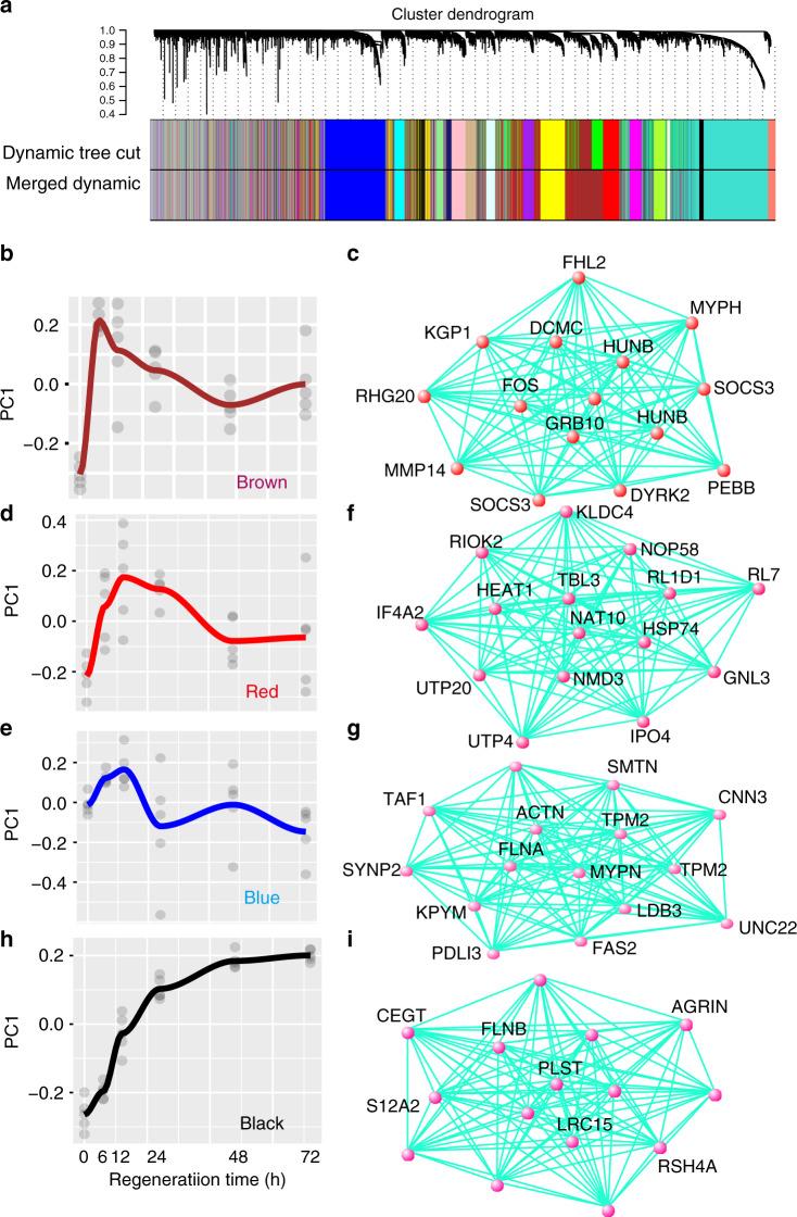 https://cdn.ncbi.nlm.nih.gov/pmc/blobs/5ab5/7253469/e8c737d9ccc9/41467_2020_16454_Fig5_HTML.jpg