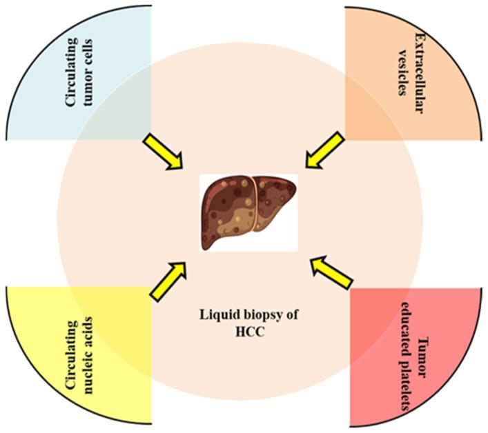 https://cdn.ncbi.nlm.nih.gov/pmc/blobs/5ab7/12249386/f53358509379/diagnostics-15-01655-g001.jpg