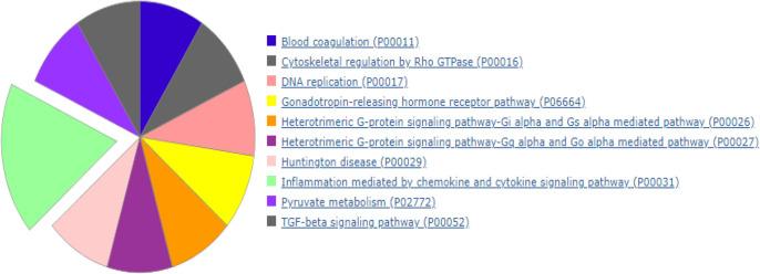https://cdn.ncbi.nlm.nih.gov/pmc/blobs/5ab7/9643247/09c7b98848bb/IJPH-51-1152-g004.jpg