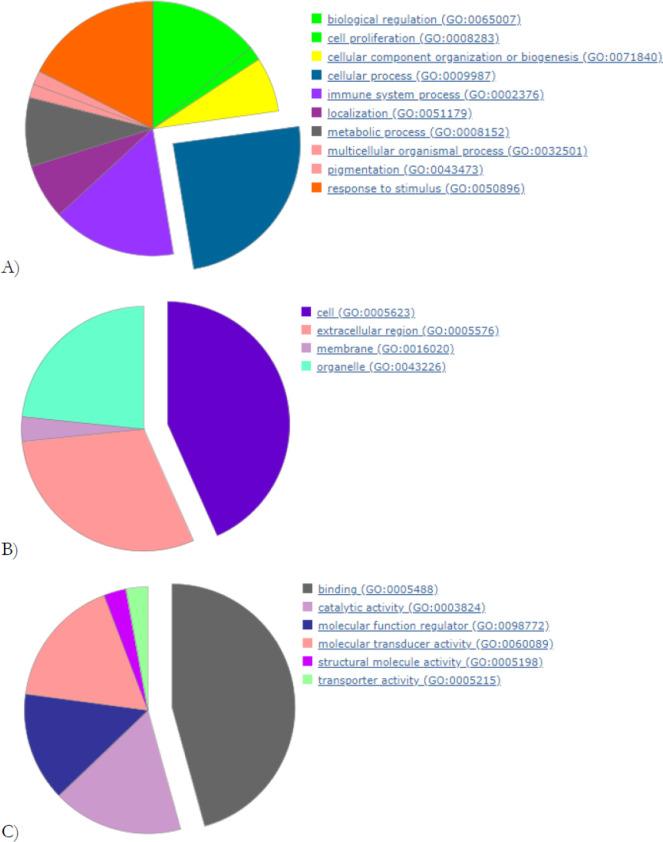 https://cdn.ncbi.nlm.nih.gov/pmc/blobs/5ab7/9643247/7e119f069019/IJPH-51-1152-g002.jpg